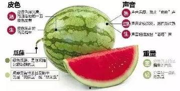 微信9.9吃瓜,揭秘微信新玩法！