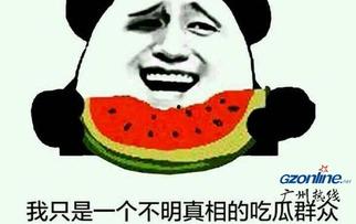 吃瓜指的是啥,网络热词背后的文化现象