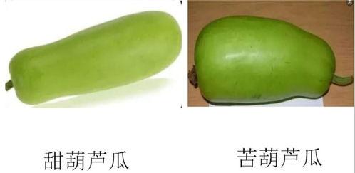 淄博吃瓜大娘,揭秘民间美食背后的故事