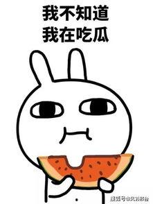 闲着吃瓜人,揭秘网络时代的人生百态