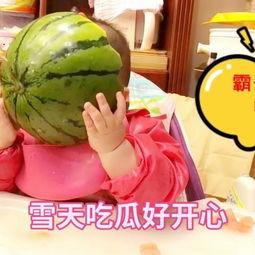 小七吃口瓜,揭秘瓜果中的营养与美味