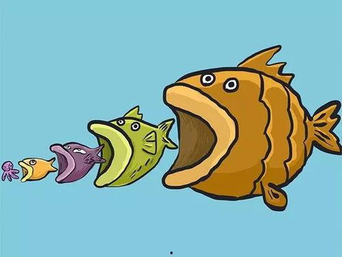 盘点小鱼吃瓜,小鱼吃瓜，趣味横生的美食之旅