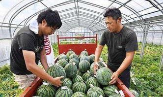 温州花店老板吃瓜,见证城市烟火气