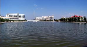 聊城大学东湖吃瓜,一场别开生面的“吃瓜”盛宴