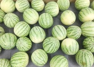 吃瓜真吃瓜,一场网络热词背后的文化现象