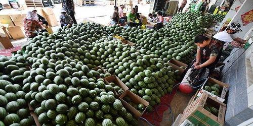 吃瓜庞庞,揭秘娱乐圈背后的那些事儿