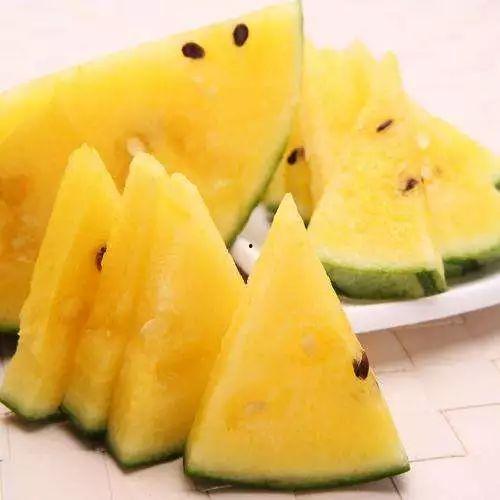 最好看吃瓜视频,全网热议！揭秘最好看吃瓜视频背后的精彩瞬间