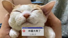 akira吃瓜,娱乐圈背后的那些事儿